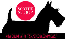 The Scottie Scoop, News from the Scottish Terrier Club of Greater NY