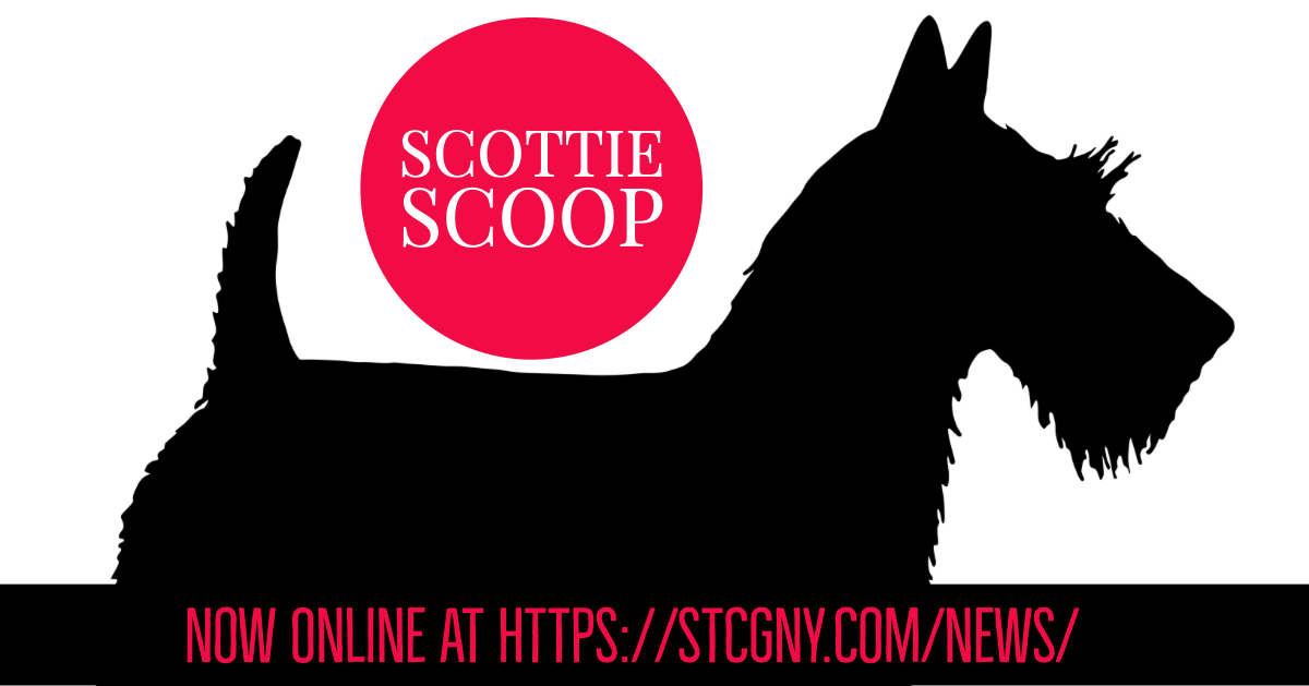 The Scottie Scoop, News from the Scottish Terrier Club of Greater NY