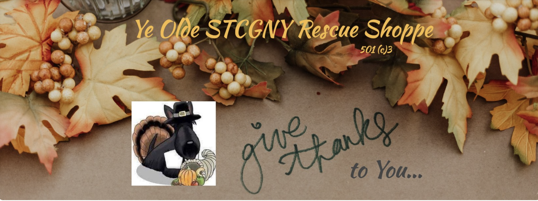 HEader for Facebook group for STCGY rescue
