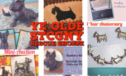 Scottish Terrier Club of Greater NY Rescue has successful fundraising mini auction art Facebook shop
