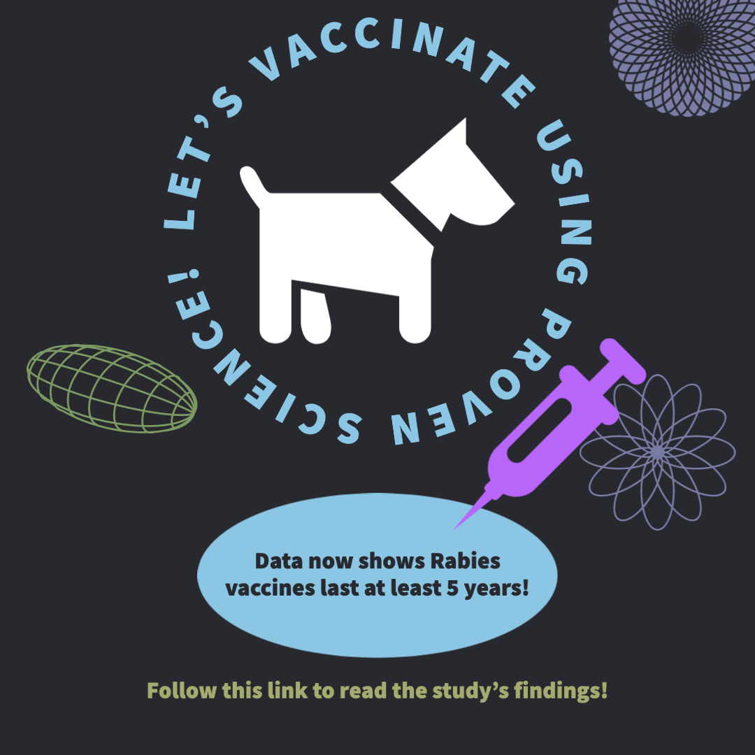 Rabies vaccines confer longer immunity than previously known
