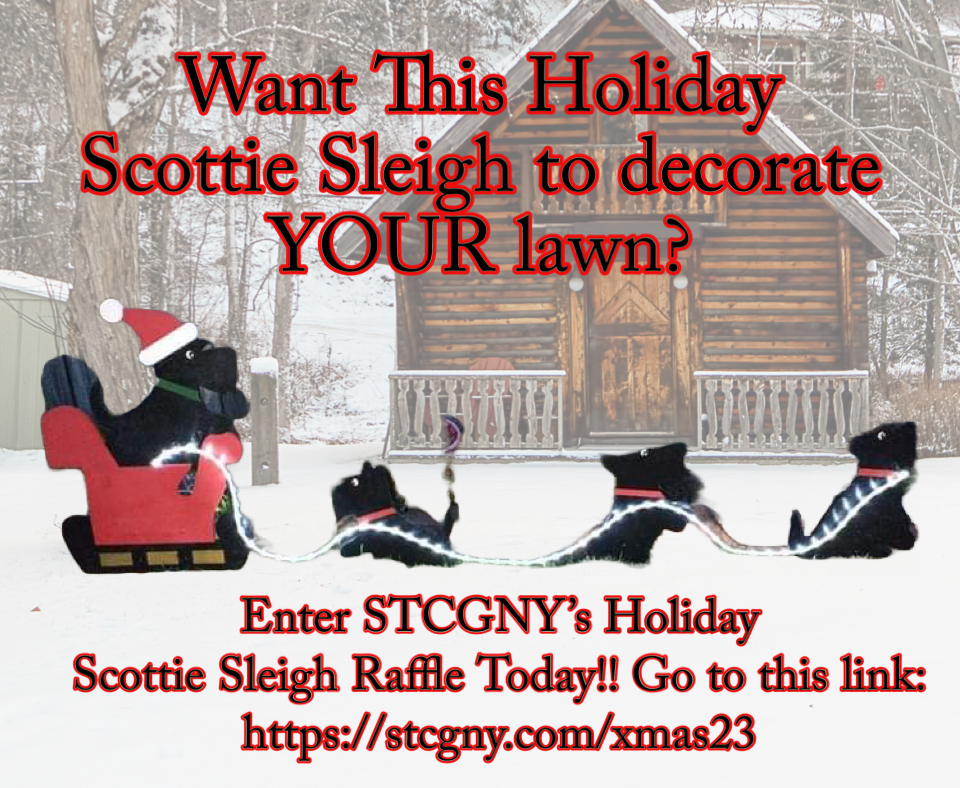 Announcing STCGNY's Holiday Scottie Sleigh Lawn Decoration Raffle