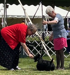 Margerie Rosa with STCGNY Specialty Sweepstakes Winner