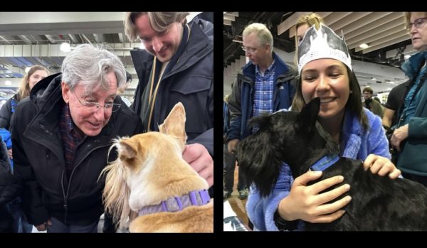 MeetBreeds2564342B9C-0FDD-4E18-8445-7227C81BACD4