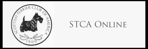 STCA-Online